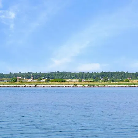 Ved Innsjøen I Nykøbing Sj Rørvig