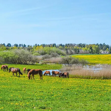 Ved Innsjøen I Nykøbing Sj Rørvig